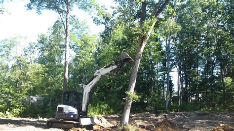 mini excavator dealing tree roots|mini excavator push over tree.